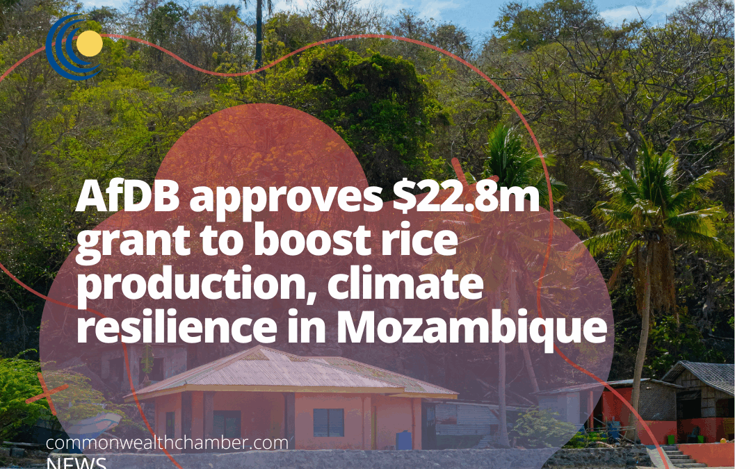 AfDB approves $22.8m grant to boost rice production, climate resilience in Mozambique